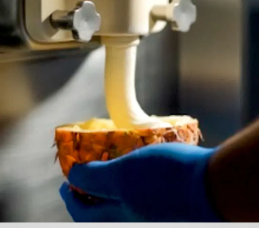 Helado Bellagio elaborado y servido en su cáscara — nosotros producimos por ti